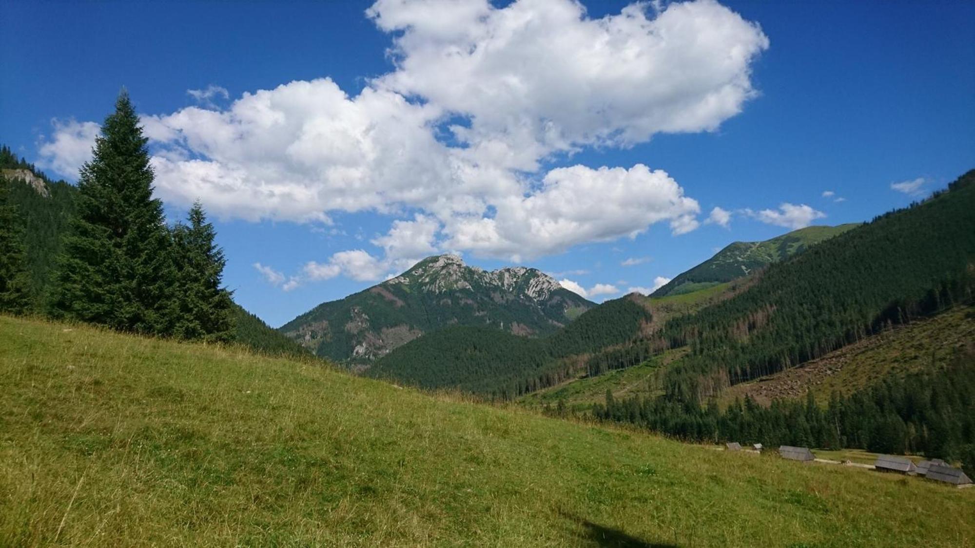 U Suchowiana Zakopane Exterior photo